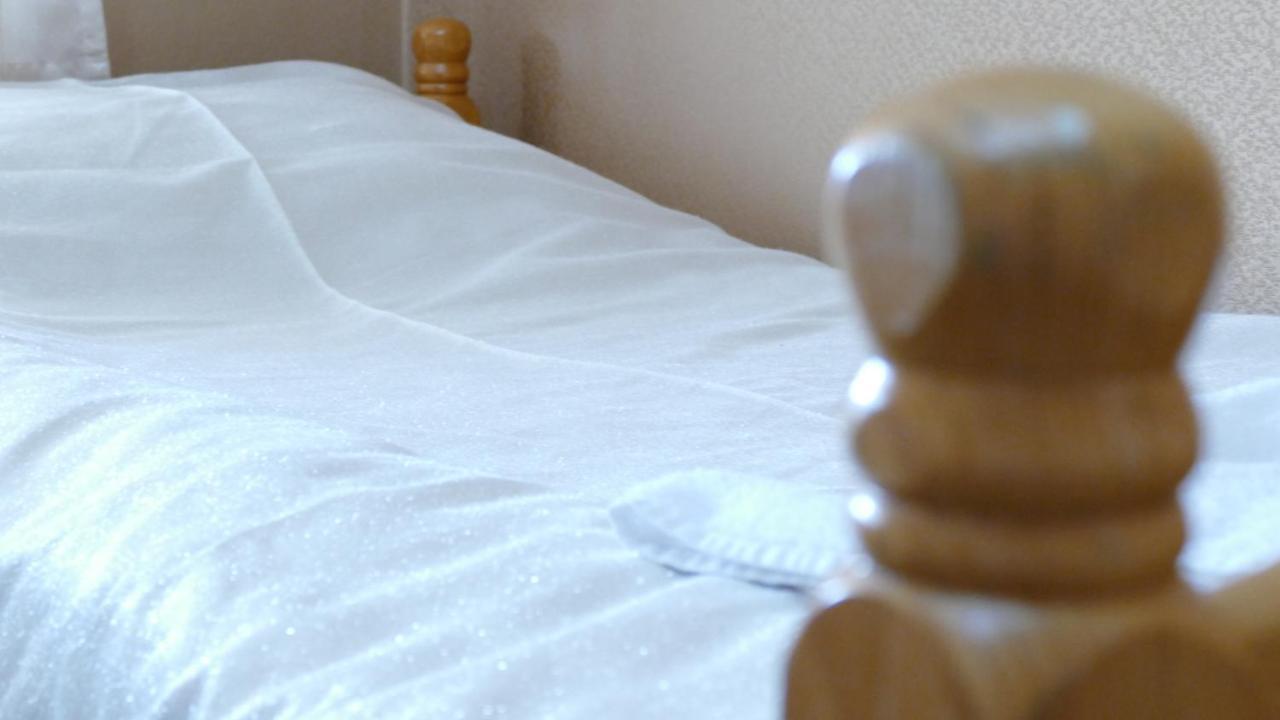 B&B Vila Bela Ruza Sremska Mitrovica Exteriör bild